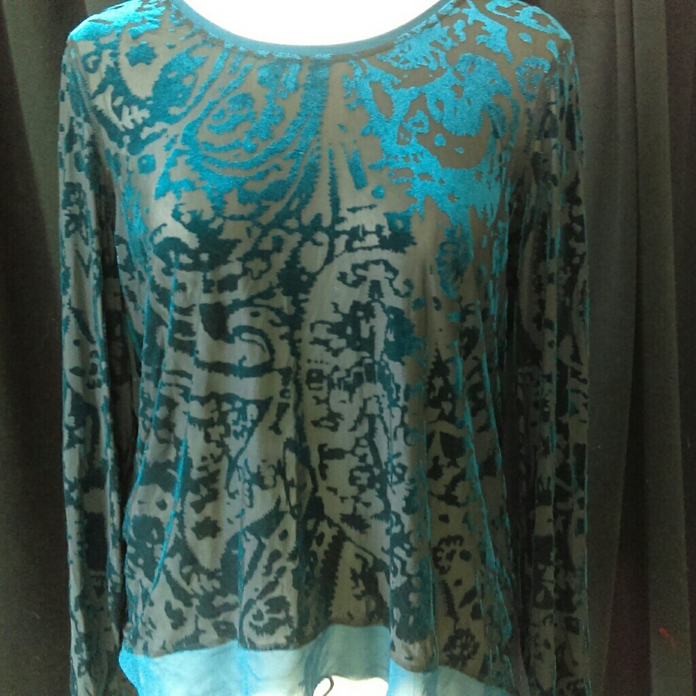 Silky Velvet Tunic Top