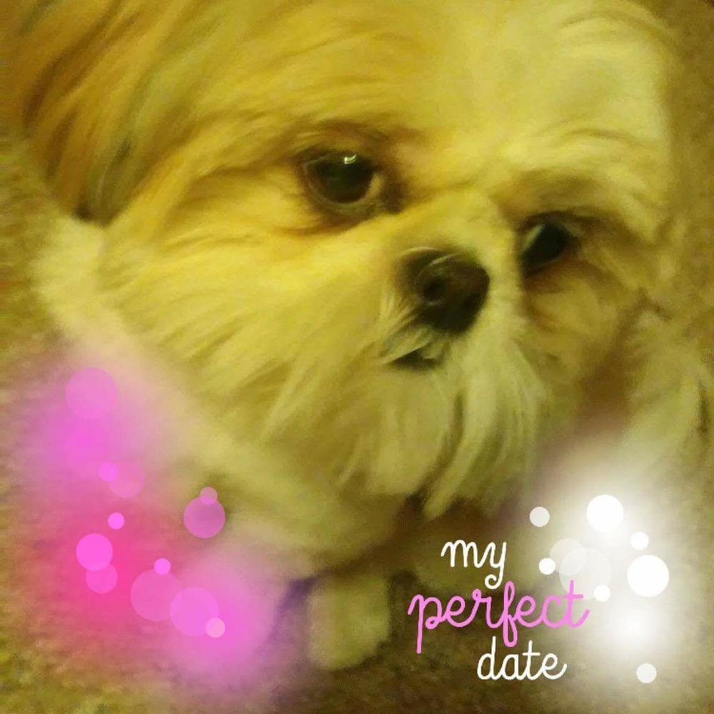 Meet your Posher, Sondra