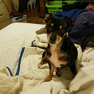 Meet your Posher, Rhonda