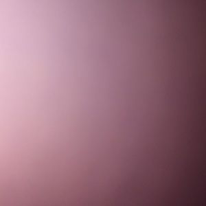 Meet your Posher, Precious