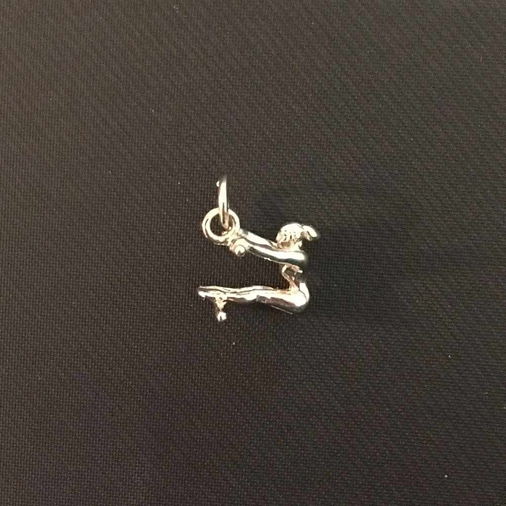 Gymnast-Bars Charm