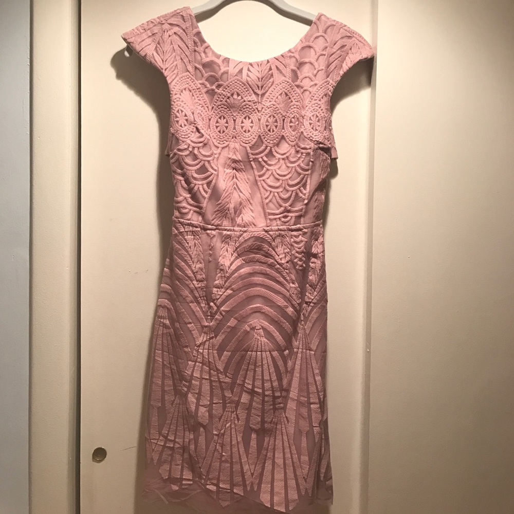 Ever Dream Dress in Blush (By. Angel Biba)