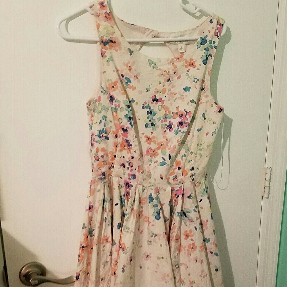 Lauren Conrad Dress