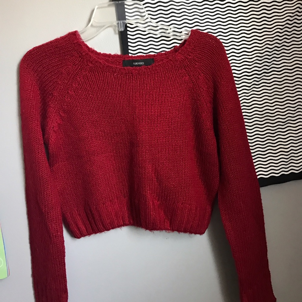 Red Sweater Crop Top