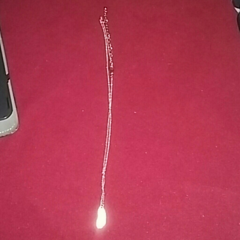 Feather Necklace