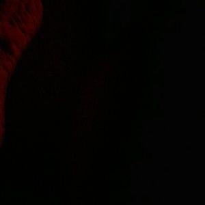 Meet your Posher, Cherie