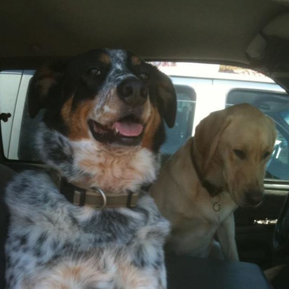 Meet your Posher, Terri