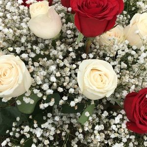 Meet your Posher, Ana