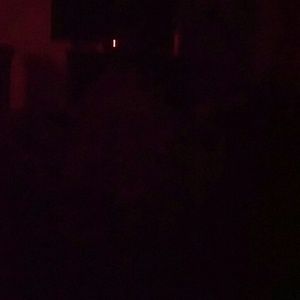 Meet your Posher, Bubacarr