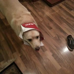 Meet your Posher, Shane