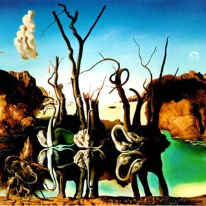 Meet your Posher, Brook