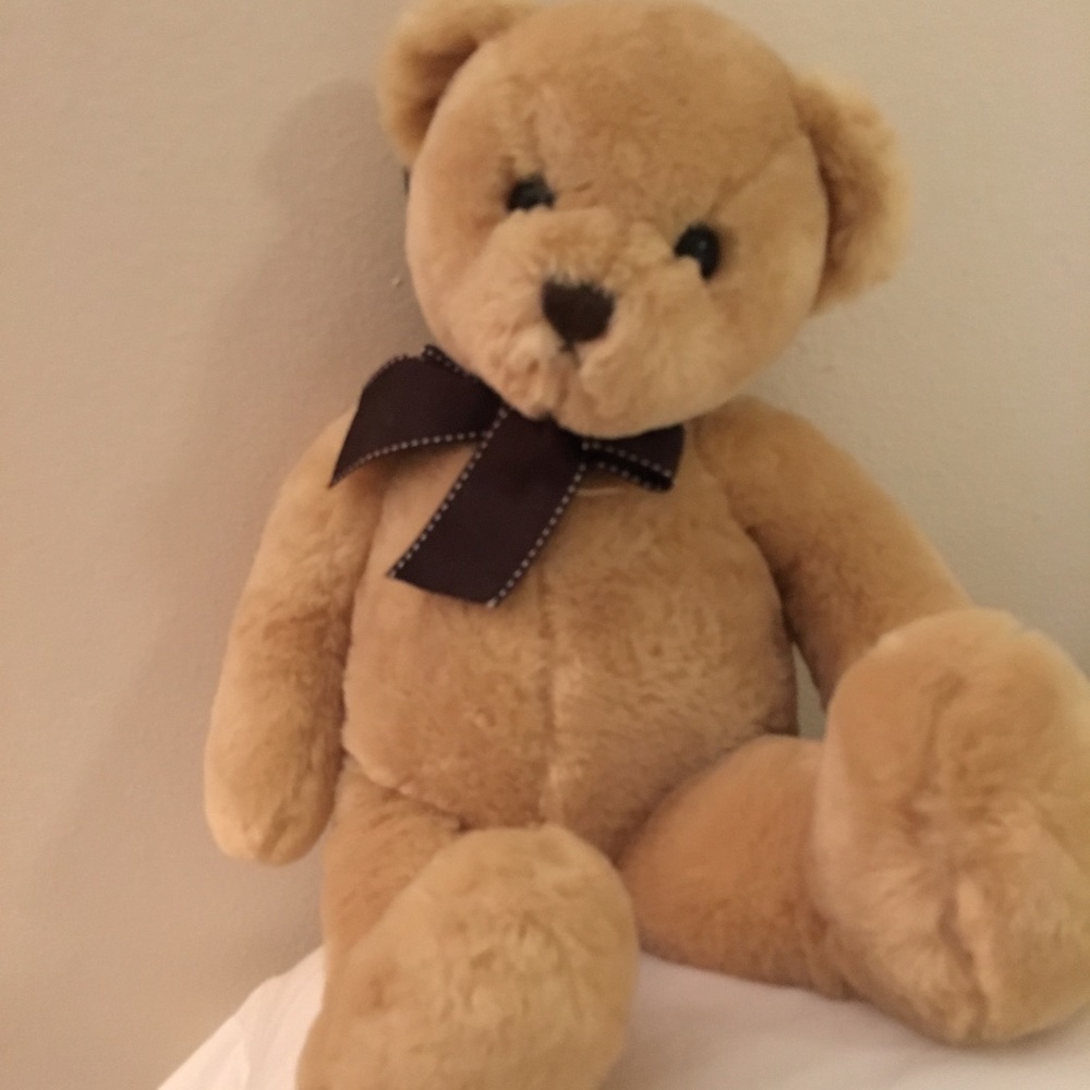 teddy bear super cute
