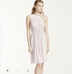 Oasis David's bridal bridesmaid dress (diff color)