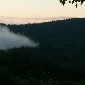 Meet your Posher, Ariaus