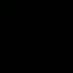 Meet your Posher, Liz