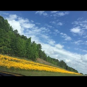 Meet your Posher, Souzan