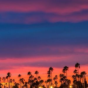 Meet your Posher, Bella