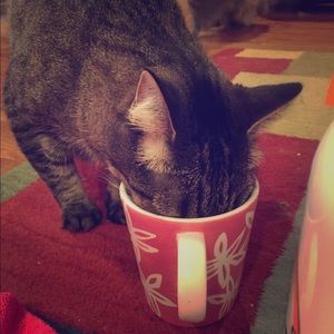 Let's All Posh Together! 👗