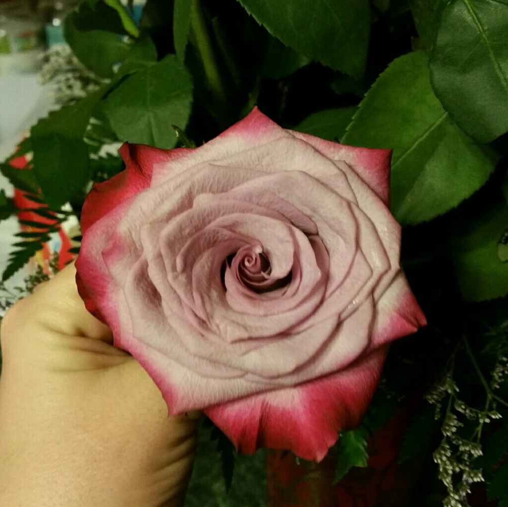 Meet your Posher, Rachel