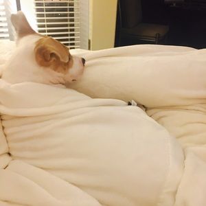 Meet your Posher, Mike