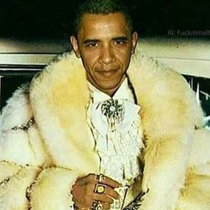 Meet your Posher, Frank