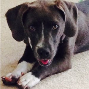 Meet your Posher, Sofie