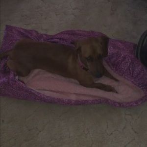 Meet your Posher, Sharon