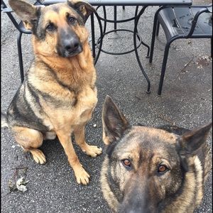 Meet your Posher, Paul