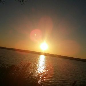 Meet your Posher, Melody