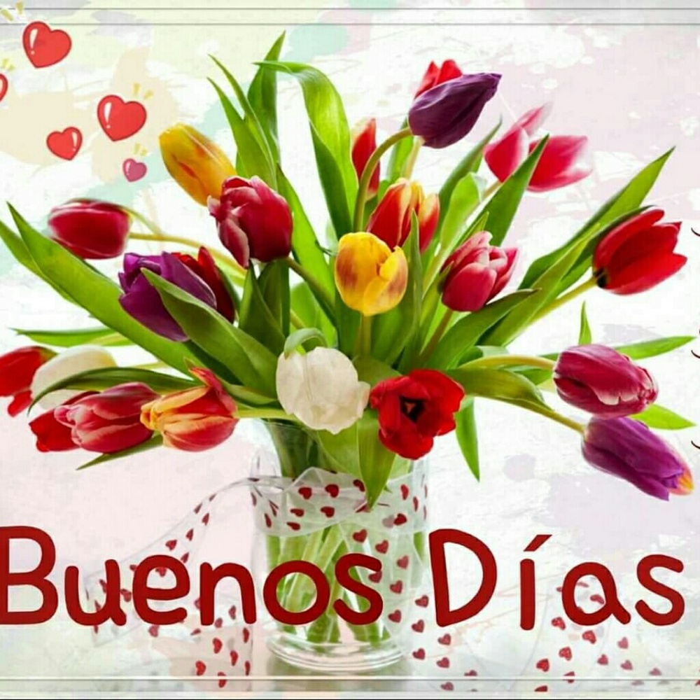 Buenos Dias....💛....💛....