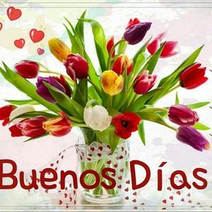 Buenos Dias....💛....💛....