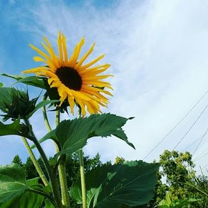 Meet your Posher, Claudia