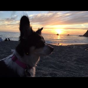 Meet your Posher, Tran