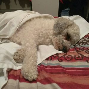 Meet your Posher, Michelle