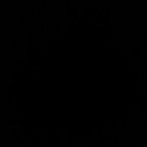 Meet your Posher, Brittney