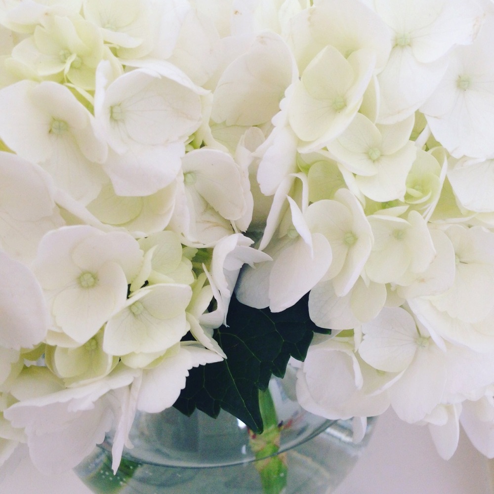 Meet your Posher, Annie