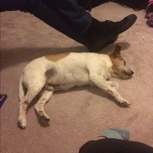 Meet your Posher, Lauryn