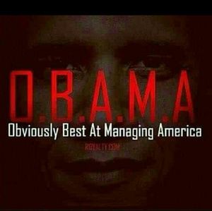 Meet your Posher, Elsie