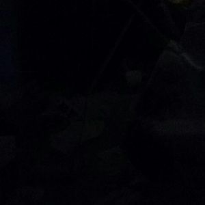 Meet your Posher, Annette