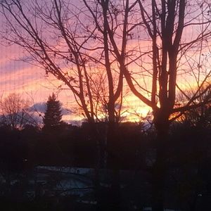 Meet your Posher, Michele