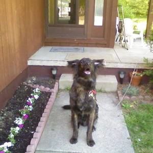 Meet your Posher, Cynthia