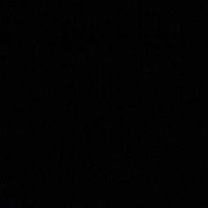 Meet your Posher, Natasha