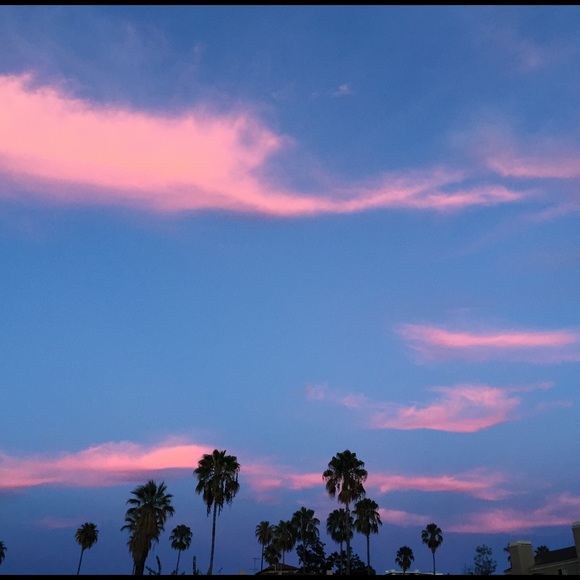 Meet your Posher, Ally - Picture 1 of 1