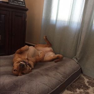 Meet your Posher, Kimberly