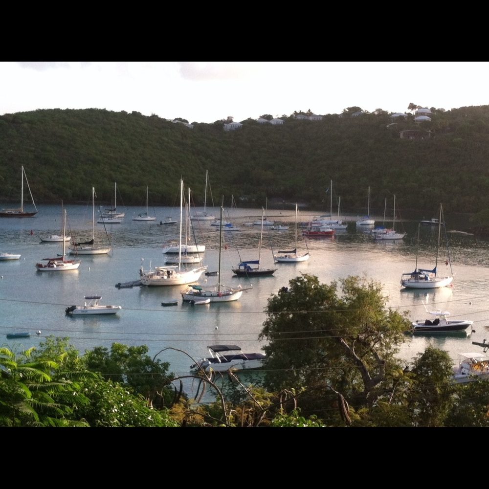 Meet your Posher, Ann