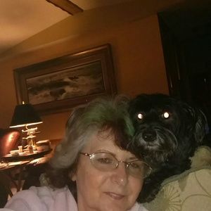 Meet your Posher, Sandra