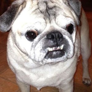 Meet your Posher, Tammi