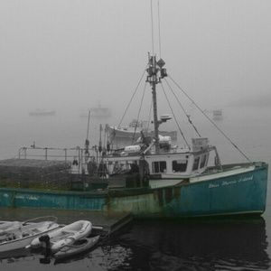 Meet your Posher, Les