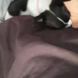 Meet your Posher, Austin