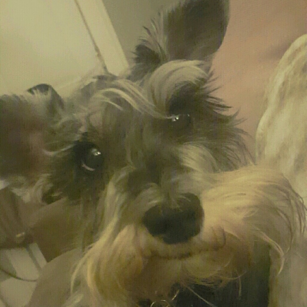 Meet your Posher, Dana